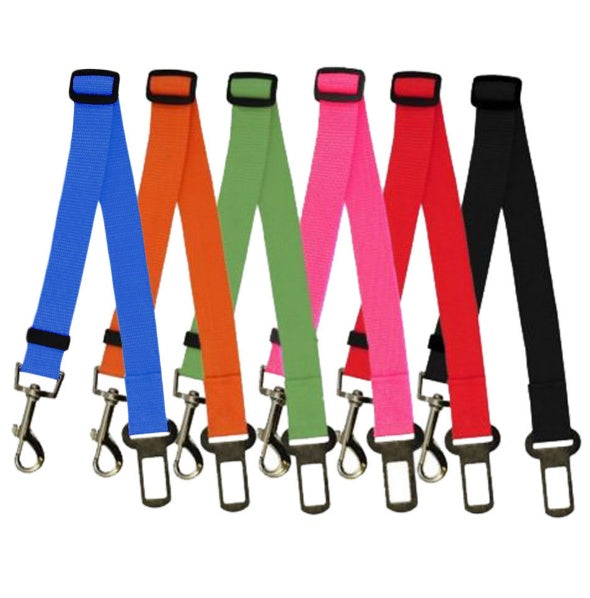 Set of colorful dog leashes with clips on a white background
