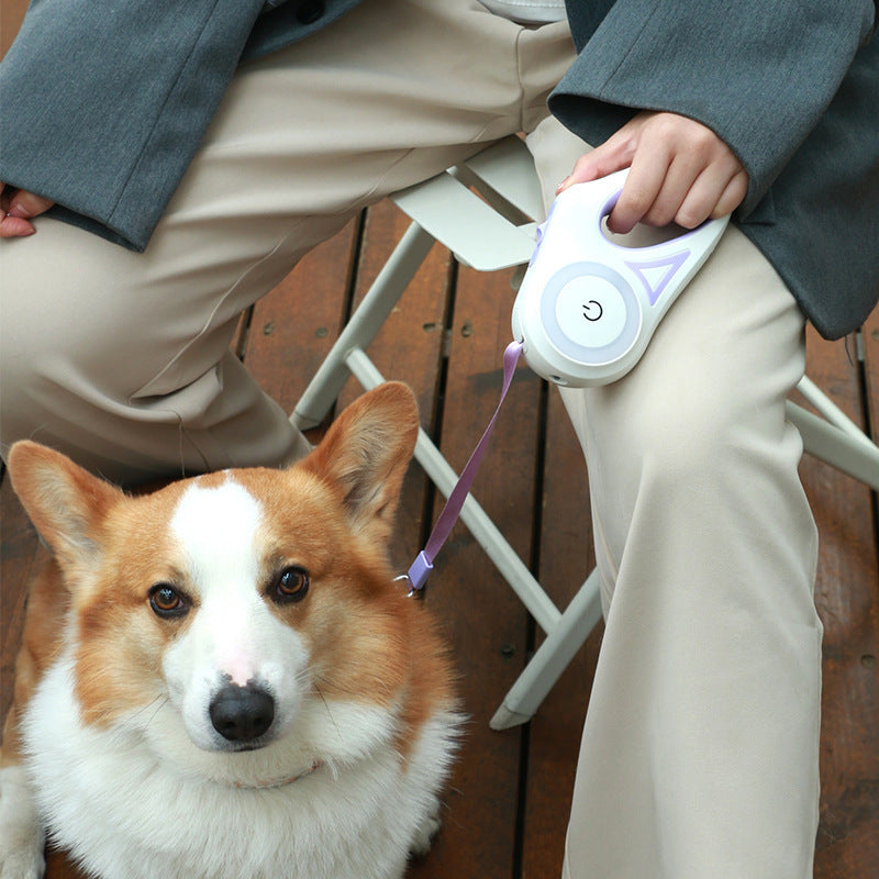 Retractable Dog Leash with Collar – Automatic Pet Lead