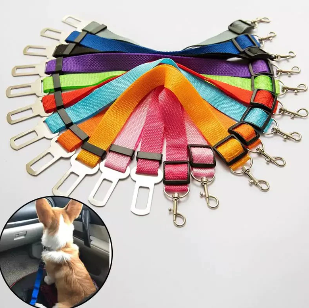 Car Seatbelt Leash for Dogs – Travel Pets