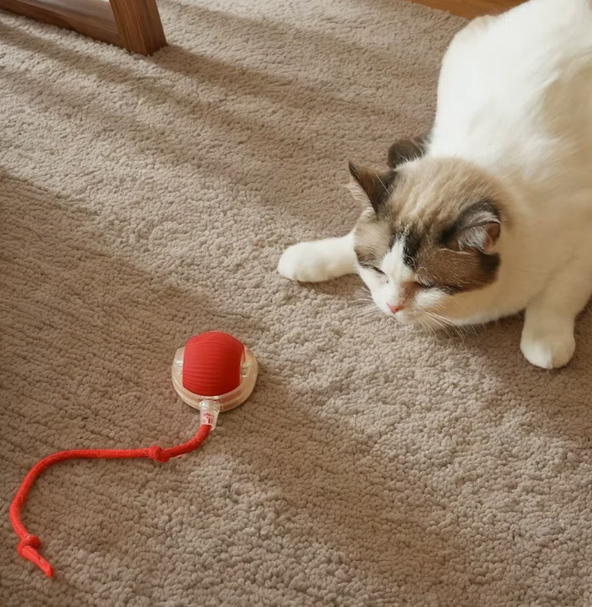 Interactive Cat Toy Ball – Smart Rolling Ball with Lights, Sounds & Modes