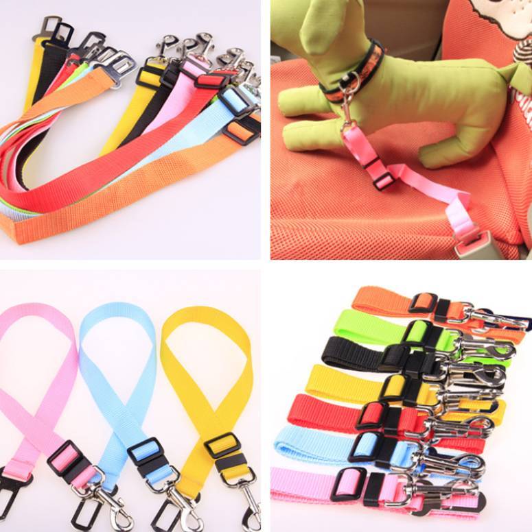 Car Seatbelt Leash for Dogs – Travel Pets
